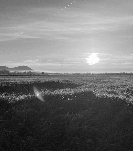 Paisatge de l’Empordà a contrallum