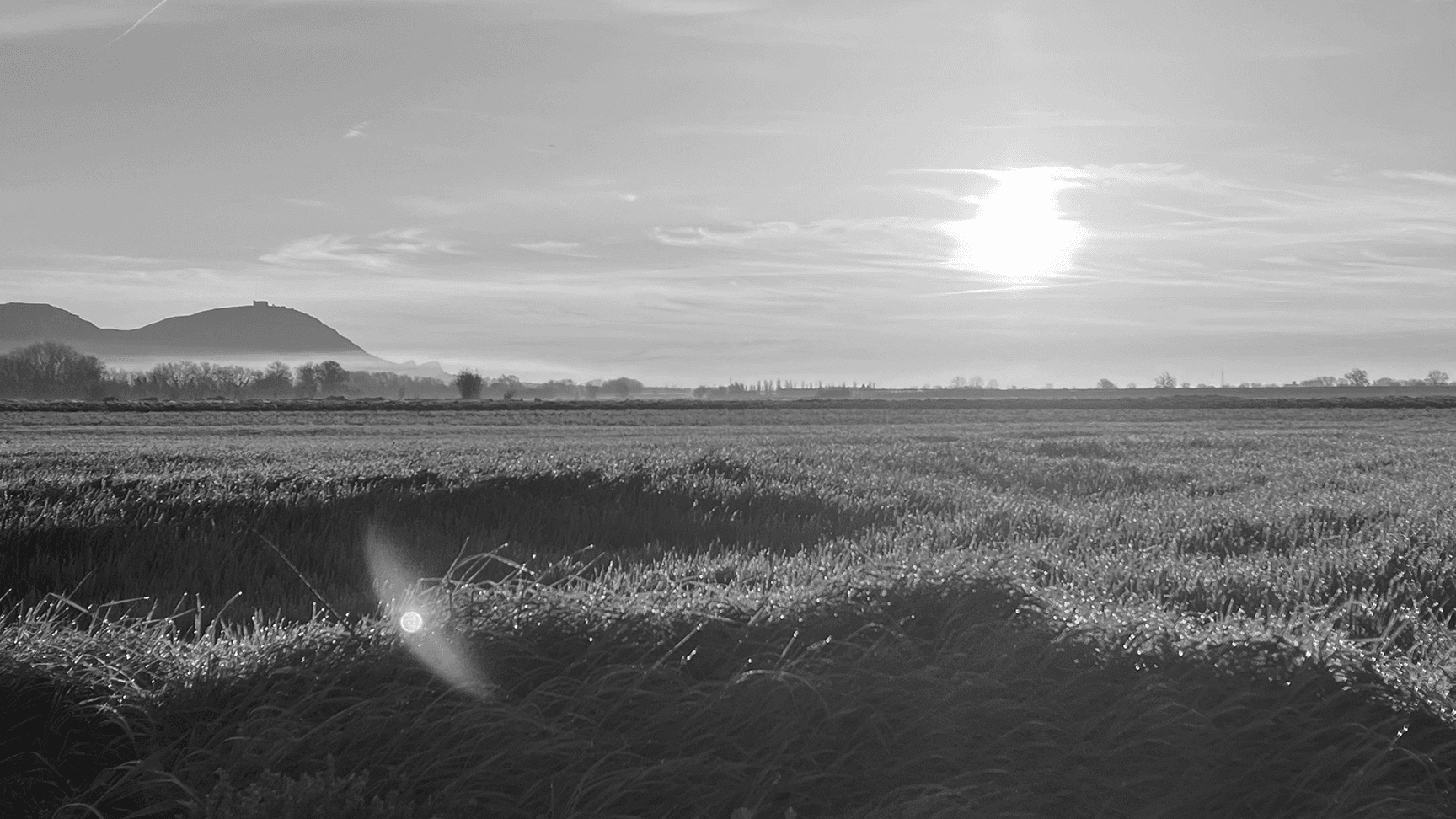 UI/UX Designer based in Empordà
